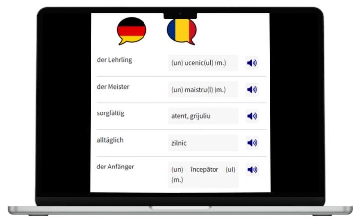 Business Deutsch auf Rumänisch lernen Vokabeln Laptop