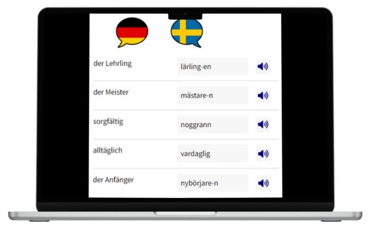 Business Schwedisch lernen Vokabeln Laptop