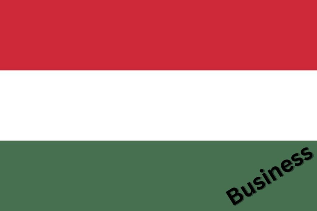 Business Ungarisch lernen Flagge Ungarn