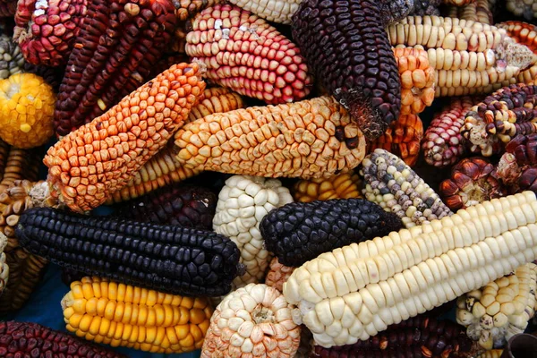 Sprachporträt Spanisch: Bunte Maisvariationen aus Peru
