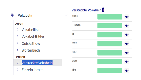 Schritt für Schritt mit Lektionen arbeiten - 2. neue Wörter mit versteckten Vokabeln einprägen - wunschsprache.de